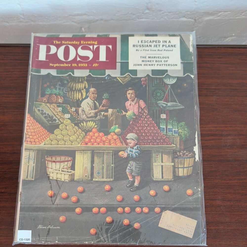 1953 SEPTEMBER 19 SATURDAY EVENING POST MAGAZINE - ILLUSTRATED COVER - H 19131